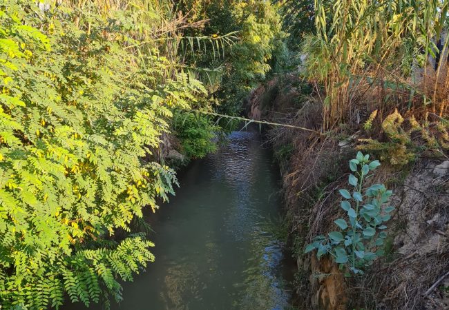 Comunidades de regantes